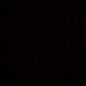 Meet your Posher, Jasmin